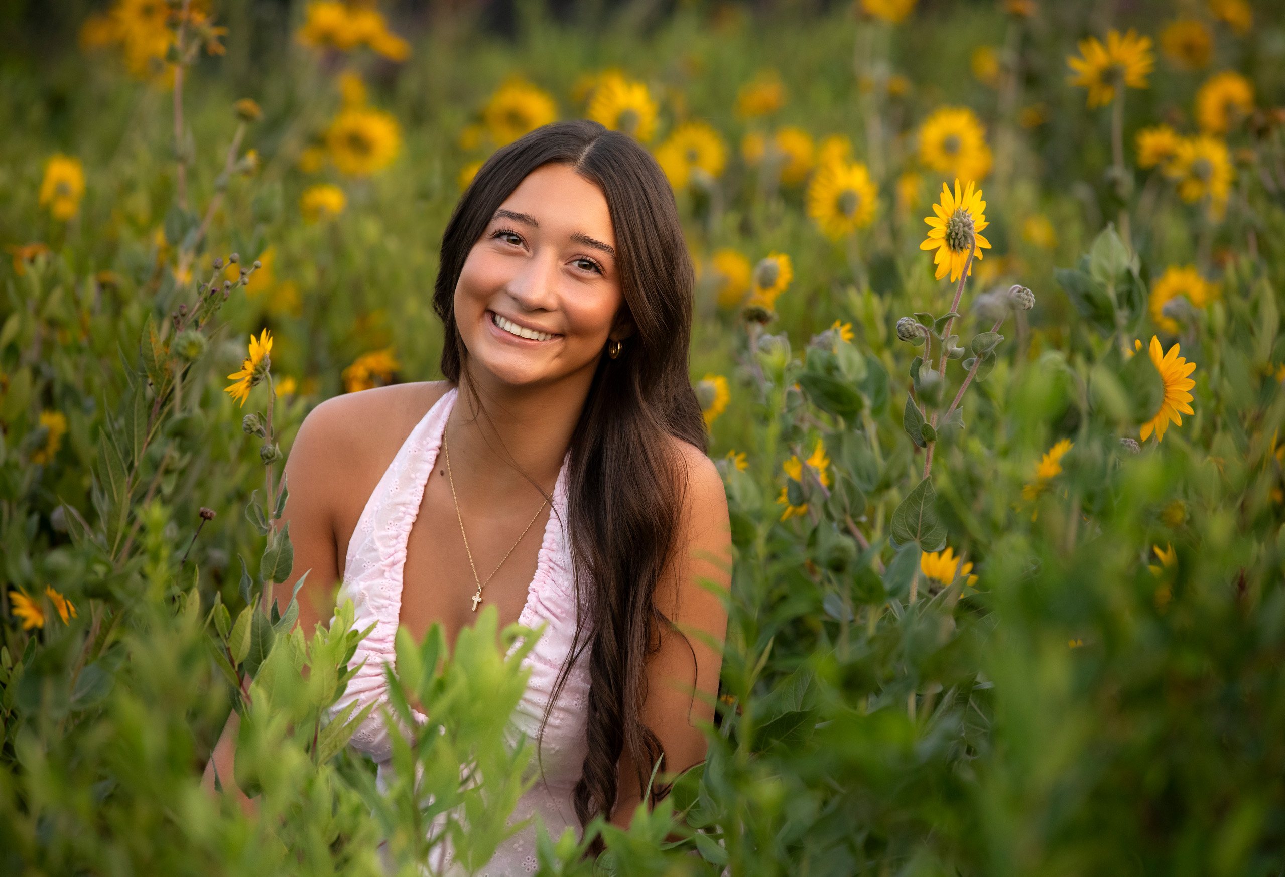 high school senior portrait in field of flowers