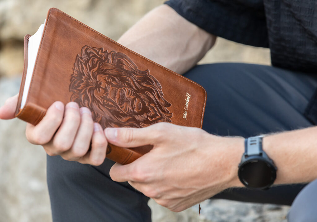 High school senior summer session sitting on stone wall holding The Bible in Wildwood, MO